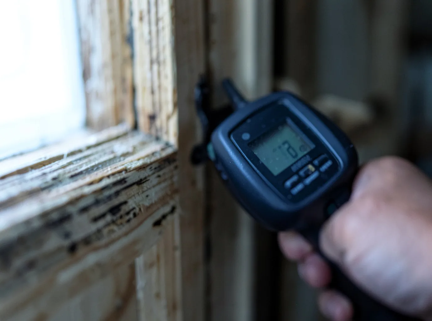 Commercial Water Damage Restoration in Jamestown, ND